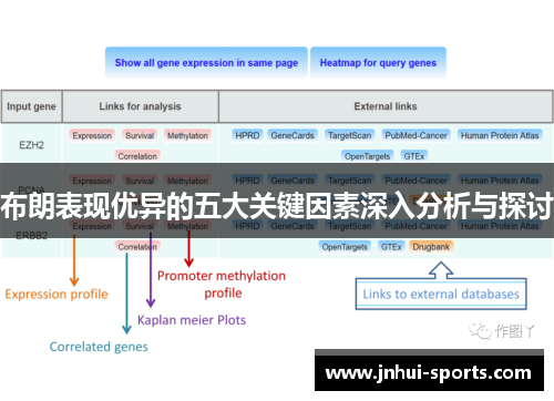 布朗表现优异的五大关键因素深入分析与探讨 布朗表现优异的五大关键因素深入分析与探讨