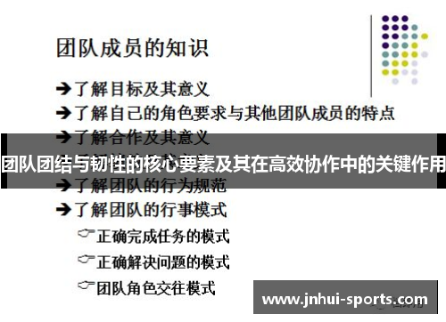 团队团结与韧性的核心要素及其在高效协作中的关键作用